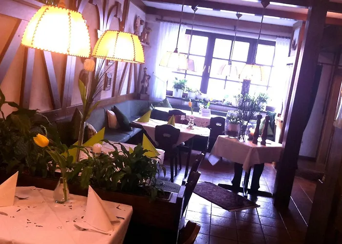 Hotel Und Restaurant -Gasthaus Zur Pfalz